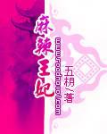 麻辣王妃