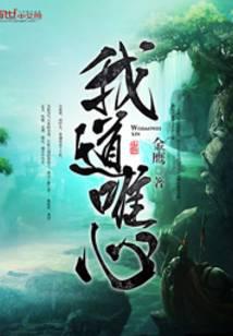 我道唯心