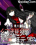 幻想乡玩家
