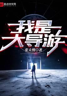 我是大导游