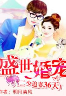 二少追妻36天：盛世婚宠