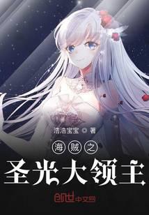 从海贼开始的万界圣骑士