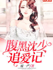 腹黑沈少追爱记