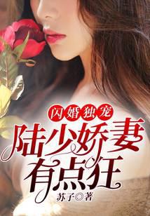 闪婚独宠：陆少娇妻有点狂