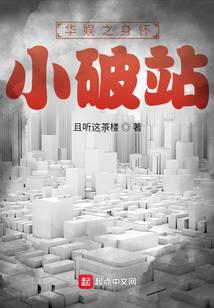 华娱之身怀小破站