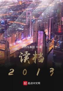 读档2013