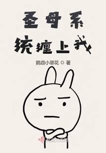 圣母系统缠上我