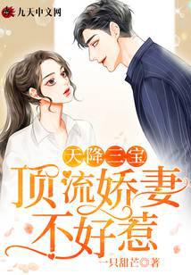 天降三宝：顶流娇妻不好惹