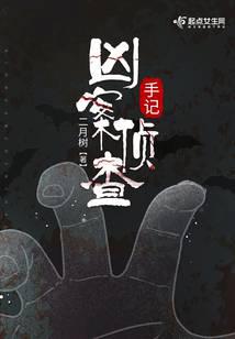 凶案侦查手记