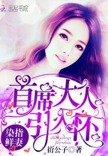 染指鲜妻：首席大人引入怀