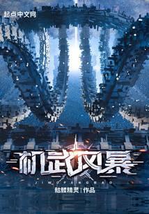 机武风暴