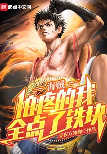 海贼：怕疼的我全点了铁块