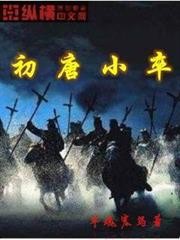 异族犯边，刚成状元的我领兵出征