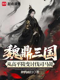 魏鼎三国，从高平陵变討伐司马懿