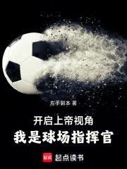 足球：上帝视角，我是球场指挥官
