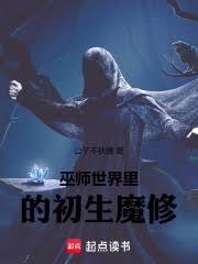 巫师世界里的初圣魔修
