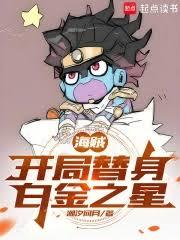 海贼：开局替身白金之星