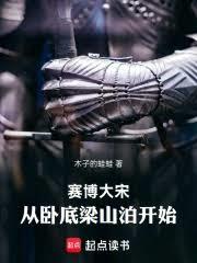 赛博大宋：从卧底梁山泊开始