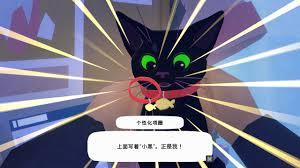我的猫猫来自二次元