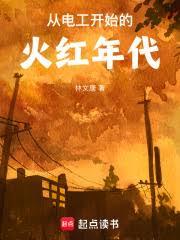 从电工开始的火红年代
