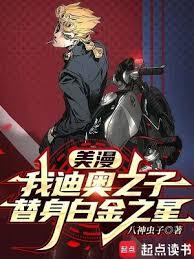 美漫：我迪奥之子，替身白金之星