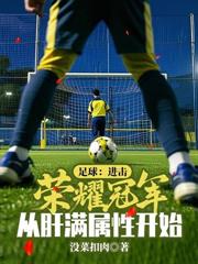 冠军足球教练：从英乙开始