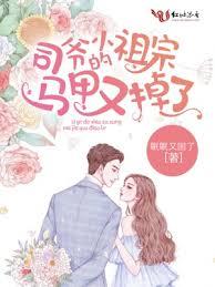 司爷的小祖宗马甲又掉了小说封面 - 眠眠又困了著 - 小说