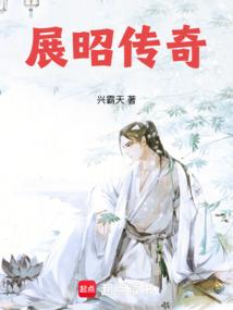 大宋神探录：展昭传奇