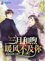 三月和煦暖风不及你小说封面 - 墨楚凉惜著 - 小说