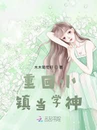 重回小镇当学神小说封面 - 木木葡萄籽著 - 小说