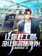 让你赶工期，没让你名扬海外！