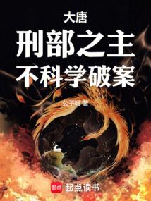 贞观第一刑案官小说封面 - 公子轲著 - 小说