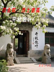 四合院：烈士遗孤，开枝散叶