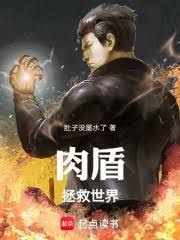 肉盾拯救世界
