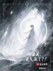 刚出关灵气没了