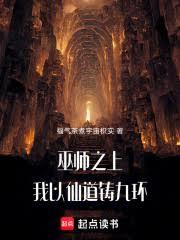 巫师之上：我以仙道铸九环