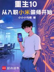 重生10：从入职小米偷师开始