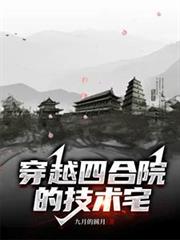 穿越四合院的技术宅