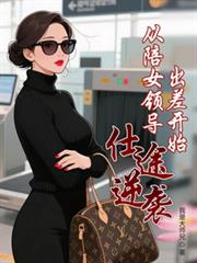 仕途逆袭：从陪女领导出差开始