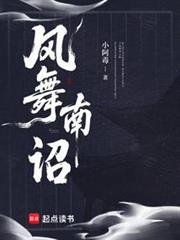 风舞南詔